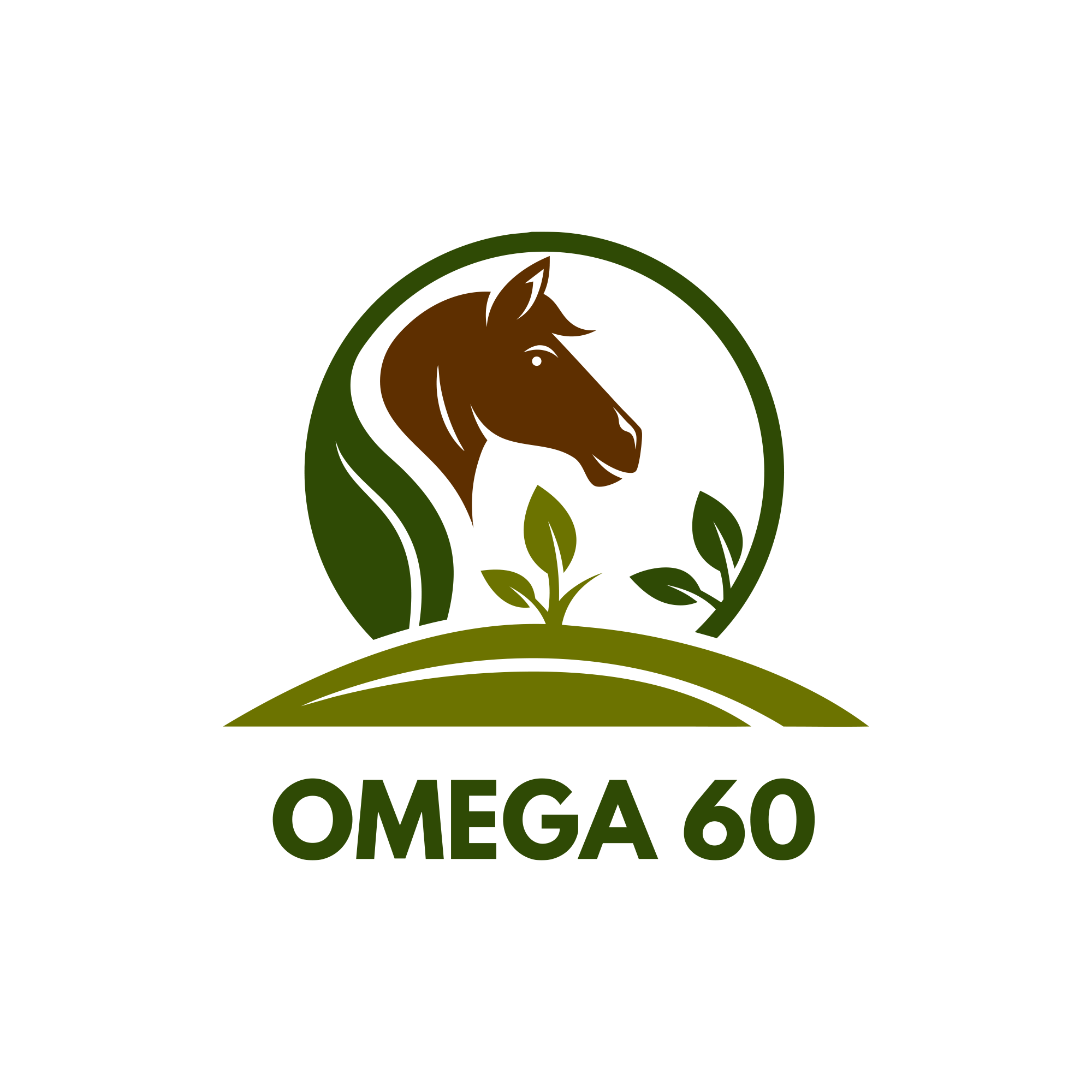 Omega 60