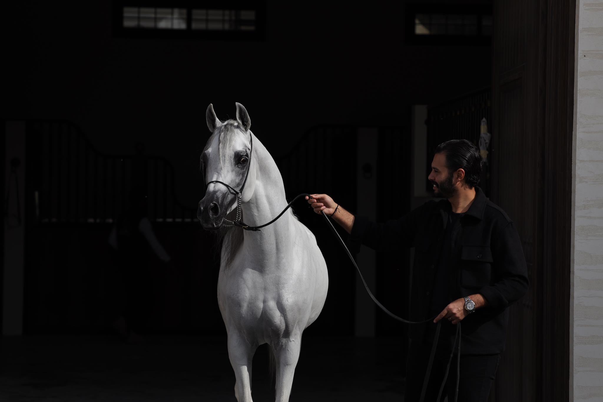 مركز الخيل
